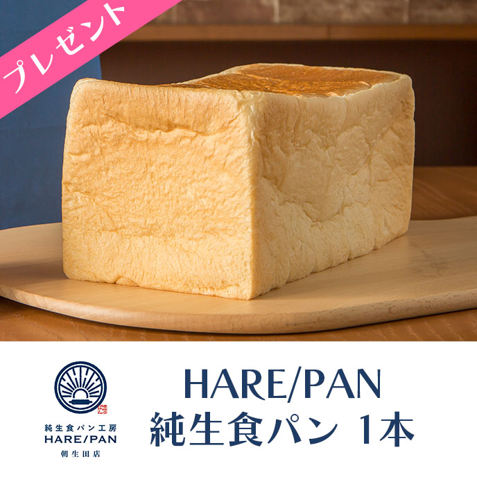 受講者へプレゼント